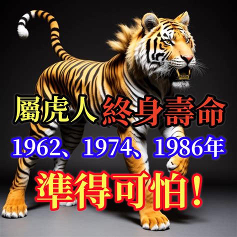 1986年屬虎|1986年屬虎是什麼命？最全虎命命相批註！